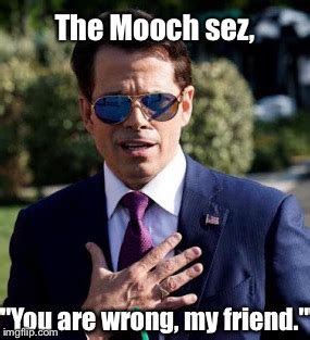 Scaramucci - Imgflip