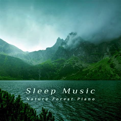 ‎Sleep Music: Nature Forest Piano by Noble Music Classical & Noble ...