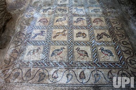 Photo: Palestinian Farmer Cleans Byzantine Mosaic Floor He Discovered ...