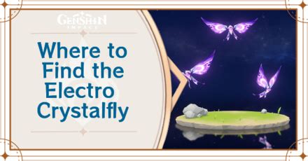 Where to Find the Electro Crystalfly and Basic Information | Electro Crystalfly Location ...