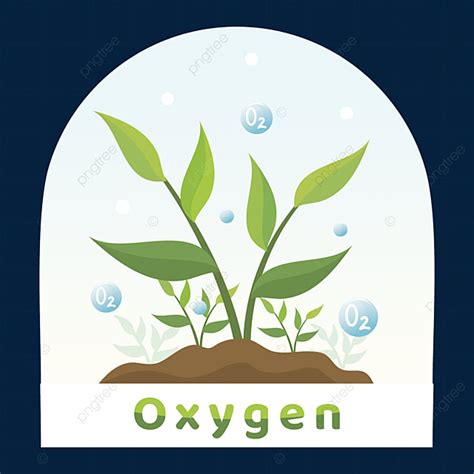 Natural Plant Vector PNG Images, Oxygen Plants Vector Nature Illustration, Illustration, Oxygen ...