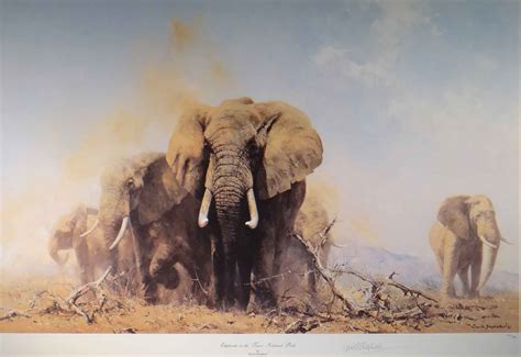 David Shepherd, signed, print, Elephants at Tsavo National Park