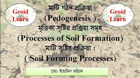 মাটি গঠন প্রক্রিয়া. মাটি সৃষ্টির প্রক্রিয়া সমূহ. Pedogenesis. Processes of Soil Formation ...