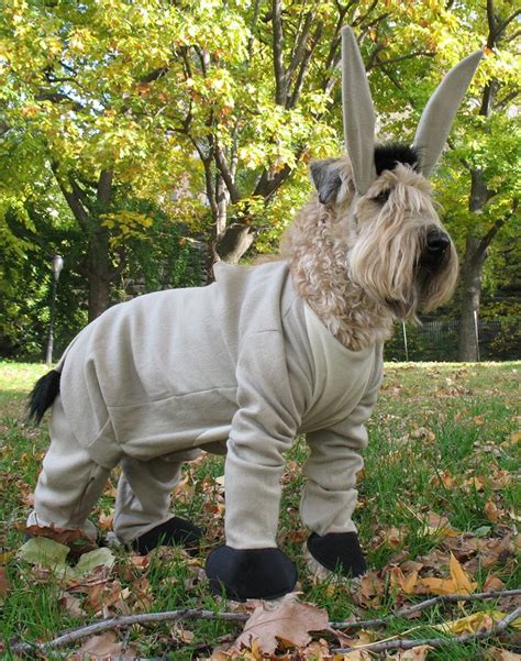 donkey dog costume