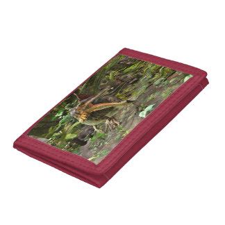 Dinosaur Wallets | Zazzle