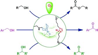 Aerobic oxidation and oxidative esterification of alcohols through cooperative catalysis under ...