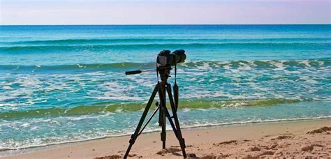 Best Camera Tripods - The Mind Blown