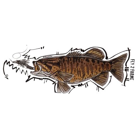 Smallmouth Bass Drawing at PaintingValley.com | Explore collection of ...