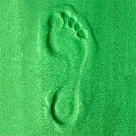 Homeowner's Guide: What Is Carbon Footprint?