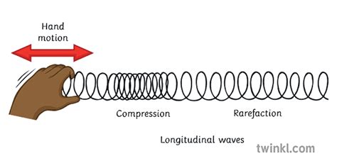 Longitudinal Waves Illustration - Twinkl