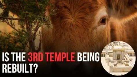 Third Temple Rebuilt? - Encounter Today