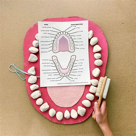 TEETH MOUTH ANATOMY LEARNING ACTIVITY - Hello Wonderful