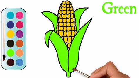 Drawing and Coloring a Corn | Easy way to Draw a Corn | MHP Learning School - YouTube