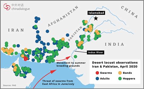 Locust attack threatens food security in South Asia