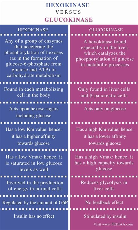 Hexokinase vs Glucokinase: What's the Difference?