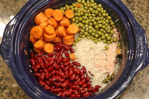 Easy Homemade Dog Food Crockpot Recipe with Ground Chicken