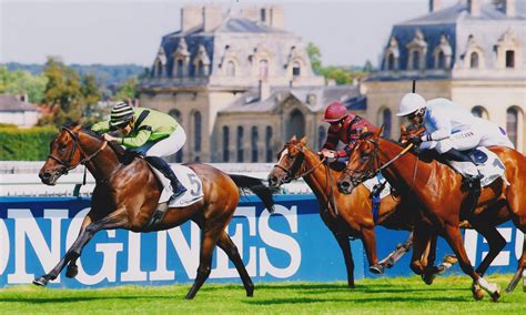 July racing update - Gallop France