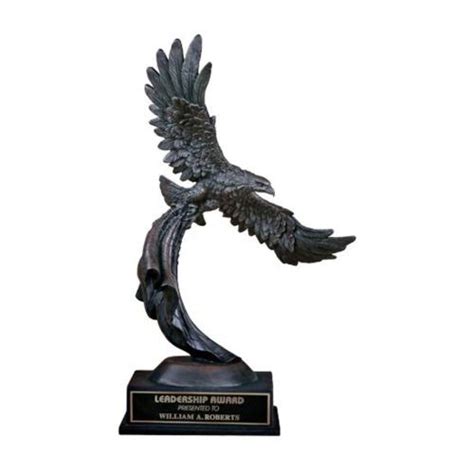 🏆 American Eagle Award 7312.19 | Awards.com