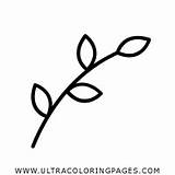 Branch Coloring Page  Ultra Pages sketch template