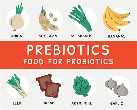 Role of Prebiotics with Probiotics - Food Safety Helpline