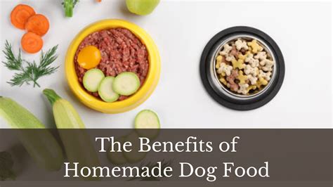 The Benefits of Homemade Dog Food - Find Out More