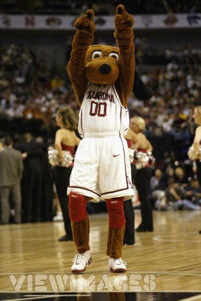 OU - Top Daug was a dog mascot for the University of Oklahoma Sooners ...