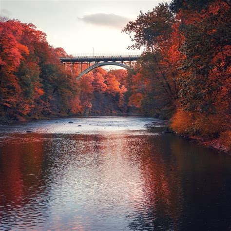 Fall in Rocky River Reservation : Cleveland