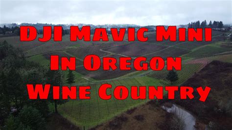 DJI Mavic Mini in Oregon Wine Country - YouTube