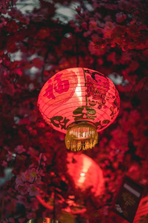 Download Red Chinese Lantern Wallpaper | Wallpapers.com