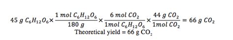 Theoretical Yield Formula - astonishingceiyrs