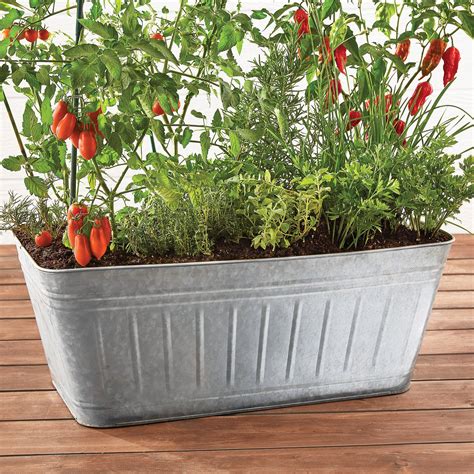 Expert Gardener Galvanized Metal Garden Raised Tub Planter, Large ...