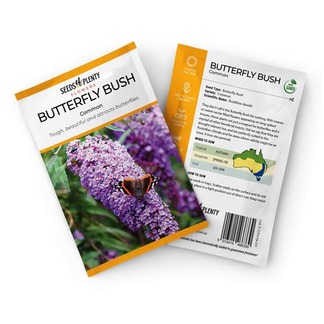 BUTTERFLY BUSH - | Buy Online at Seeds Of Plenty – Seeds of Plenty