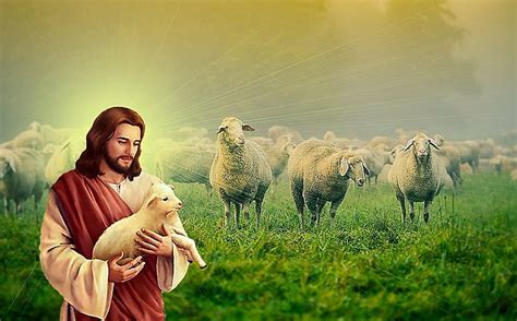 Good shepherd Jesus Christ, jesus, gospel, god, shepherd, christ, HD wallpaper | Peakpx