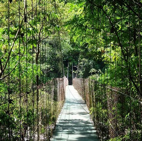 The Pico Bonito National Park in Honduras is named after its second ...