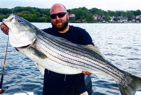 Anglers get ready: Spring striped bass migration up Hudson River on track - syracuse.com