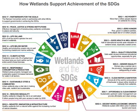 Wetlands and the Sustainable Development Goals (SDGs) | Medwet