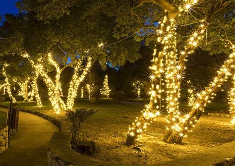 How to Wrap a Tree with Christmas Lights - Christmas Lights, Etc | Christmas lights outdoor ...