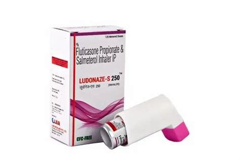 Fluticasone Propionate Salmeterol Inhaler IP, for Personal, 120 Metered at Rs 535/piece in Panchkula