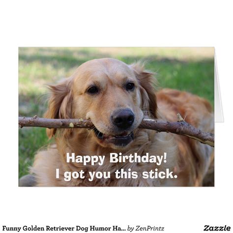 Funny Golden Retriever Dog Humor Happy Birthday | Zazzle.com Birthday Meme Dog, Funny Happy ...