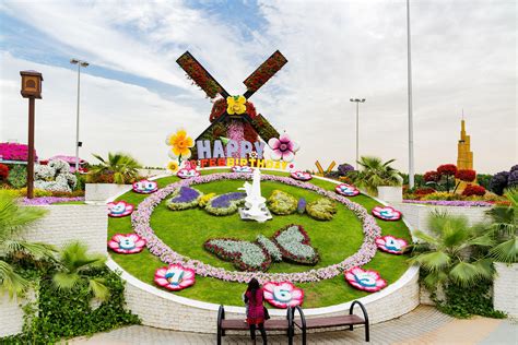 Plan Your Visit To Dubai Butterfly Garden | How to Reach, Location & More