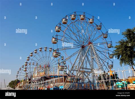 Pushkar Mela ; Rajasthan ; India Stock Photo: 83596211 - Alamy