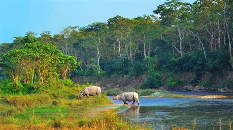 Jungle Safari and Bird Watching at Chitwan National Park - Snow Path Trek