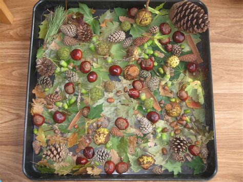 Autumn Sensory Play | Sensory boxes, Sensory play, Autumn activities