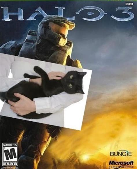 Halo 3 cat | Master Chief | Know Your Meme