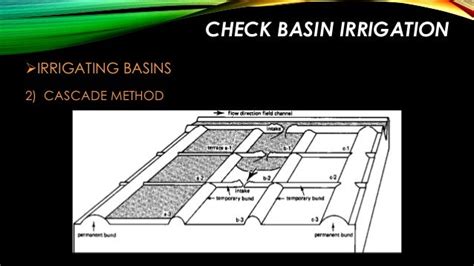 check basin , furrow and border strip method