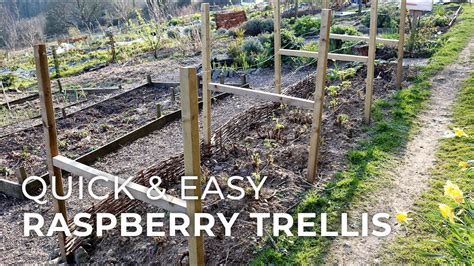 Quick & Easy DIY Raspberry Trellis - YouTube