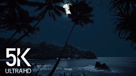 5K Tropical Beach Night - 8 HOURS of Soothing Nature Night Sounds for ...