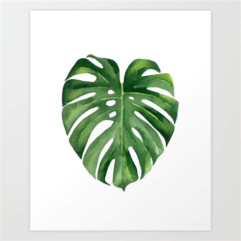 Tropical green leaf. Art Print by Art by ASolo | Society6