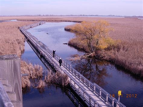 Guided Tour—Leamington, Ontario Ideal Destination For A Summer Cruise | Great Lakes Boating