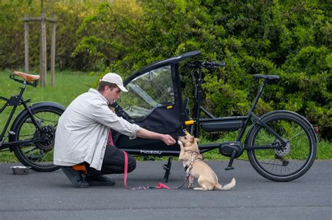 Cargo bike for your dog - 5 tips for a successful trip | Hazay Bikes